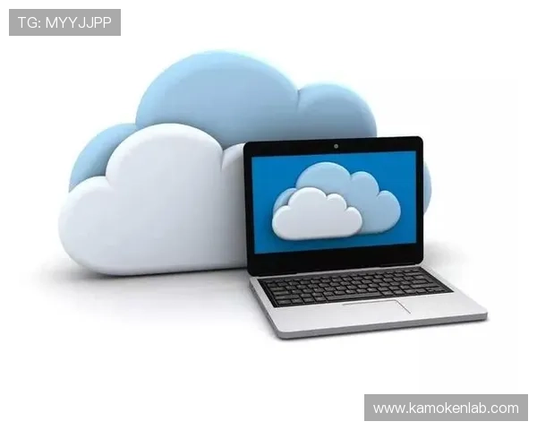 探索开云体育官网登入口的功能与优势,提升用户体验 探索开云体育官网登入口的功能与优势,提升用户体验