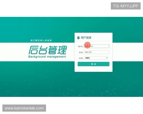 如何通过开云在线登录界面实现账号安全与个人信息保护