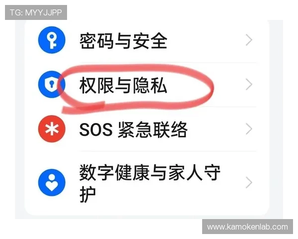 开云在线登录入口手机版安全保障措施，保障玩家账号信息安全与隐私保护