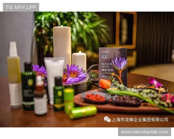 探索开云体验官网入口的最新方法与技巧，享受极致奢华购物体验